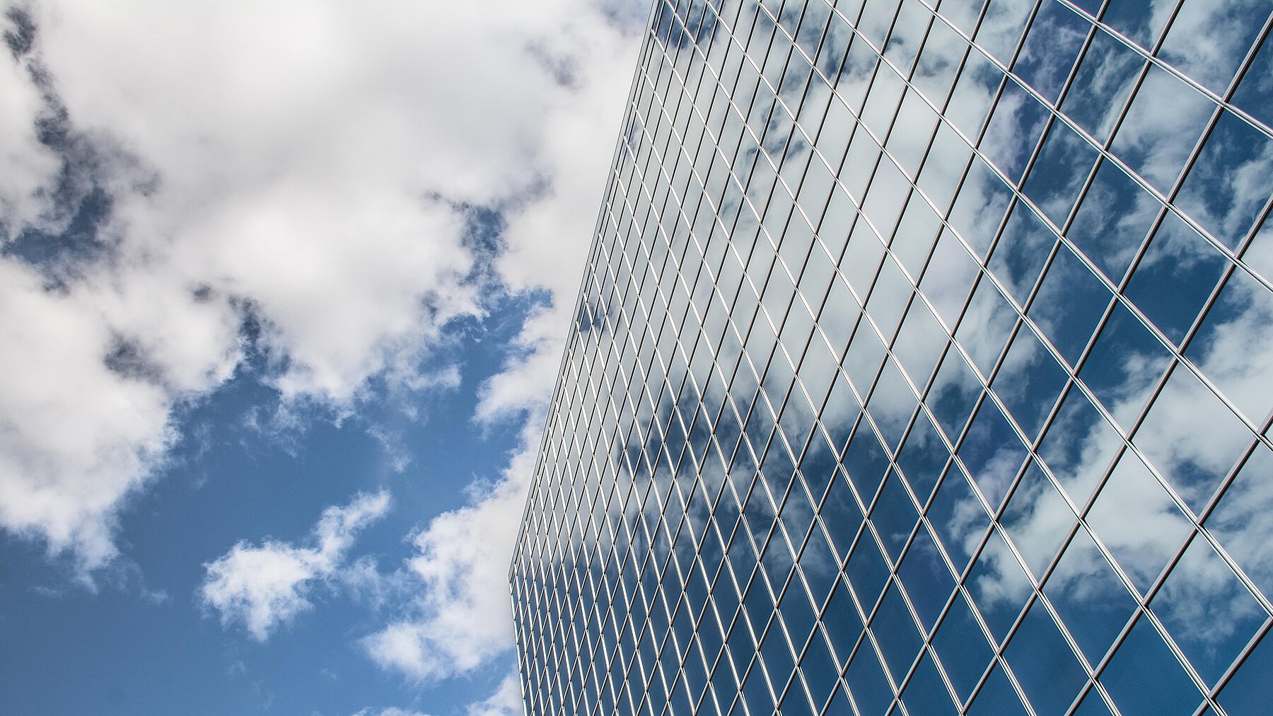 Hahnsystems QM-Beratungen